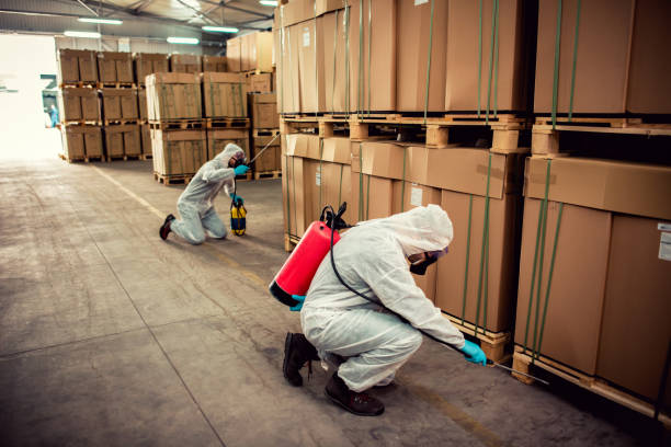 Best Wasp Removal Services  in Orange City, FL