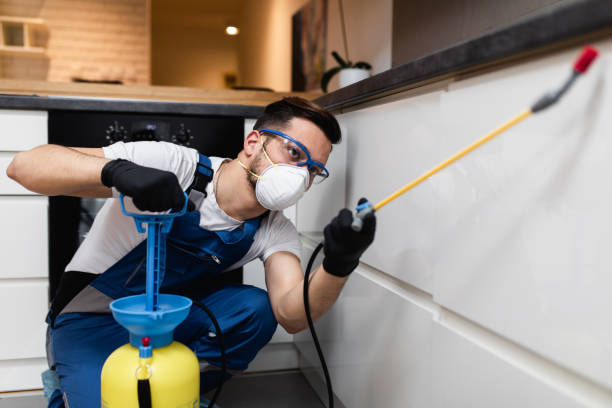 Best Wildlife Control Services  in Orange City, FL