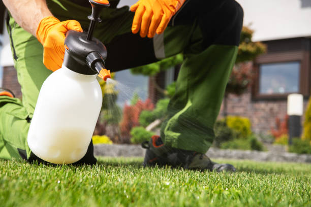 Best Spider Control Near Me  in Orange City, FL