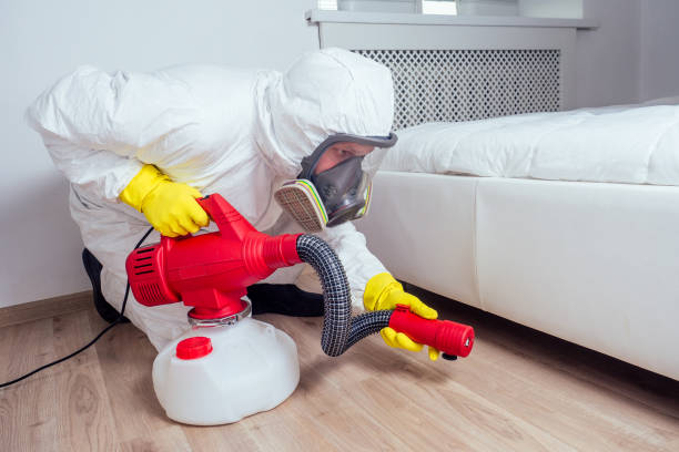 Best Affordable Pest Control Services  in Orange City, FL
