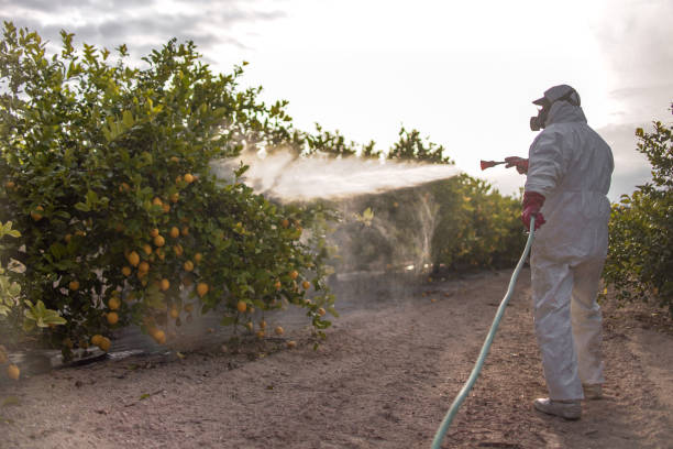 Orange City, FL Pest Control Pros