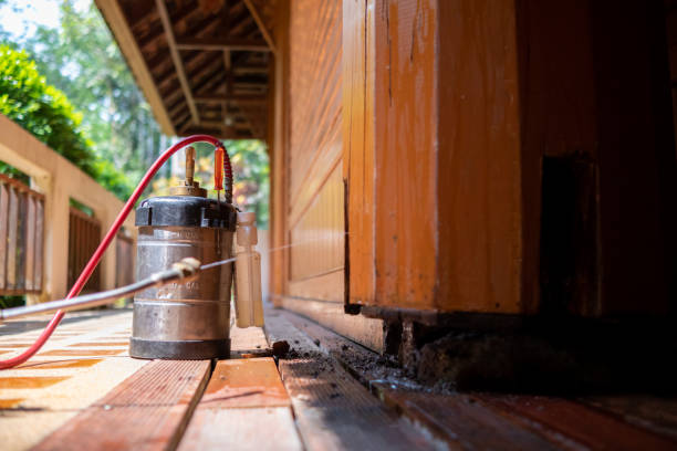 Wasp Removal Services in Orange City, FL