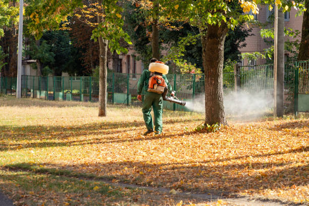 Best Pest Removal Services  in Orange City, FL