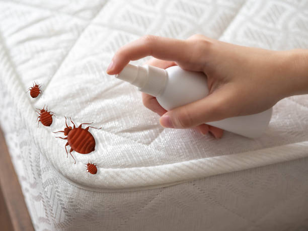 Best Commercial Pest Control Services  in Orange City, FL